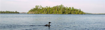 Loon-Seagull-Lake
