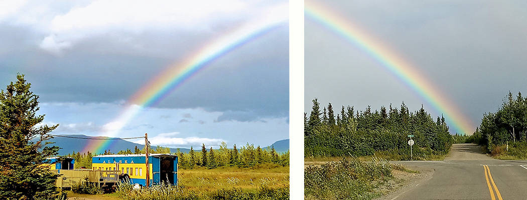 Alaska rainbows